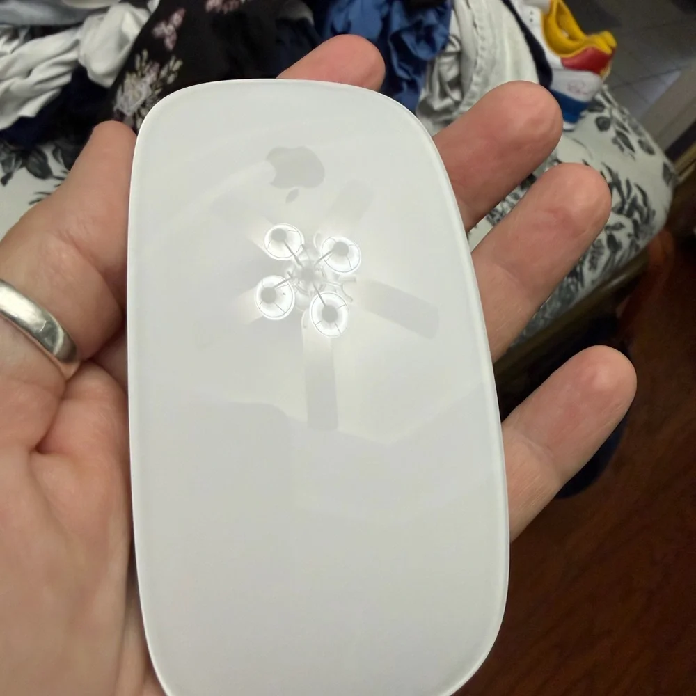 Apple wireless mouse. Slightly used. Did not like.